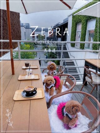 ZEBRA Coffee & Croissant